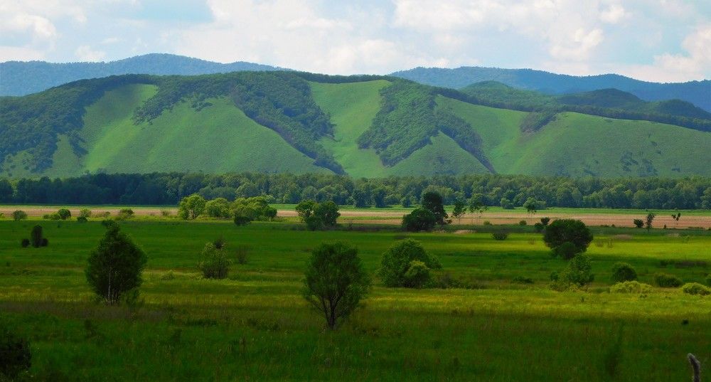 Photograph by Ирина Гаврилова