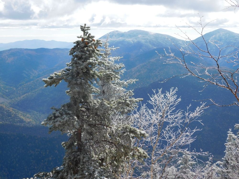 Photograph by Ирина Гаврилова