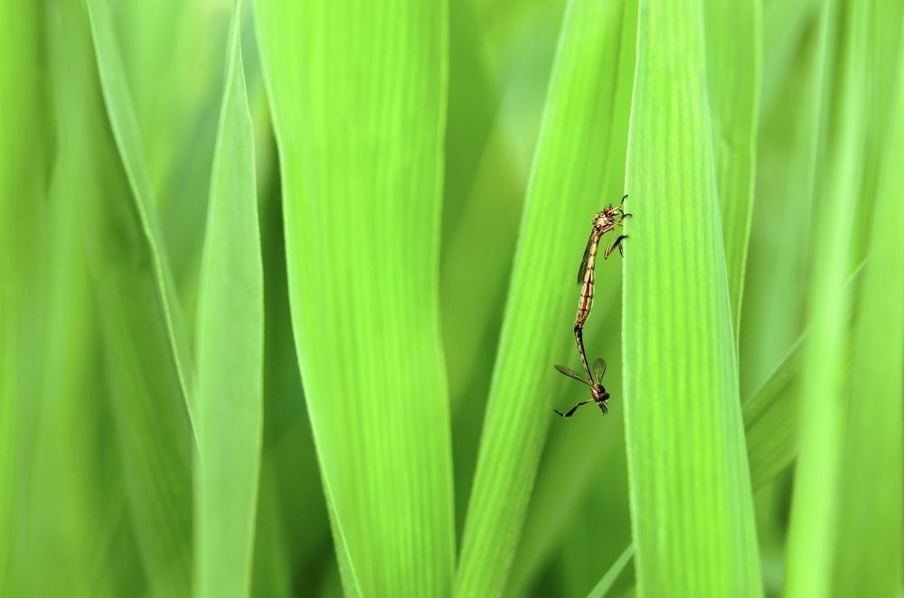 Photograph by Kveta Novotna