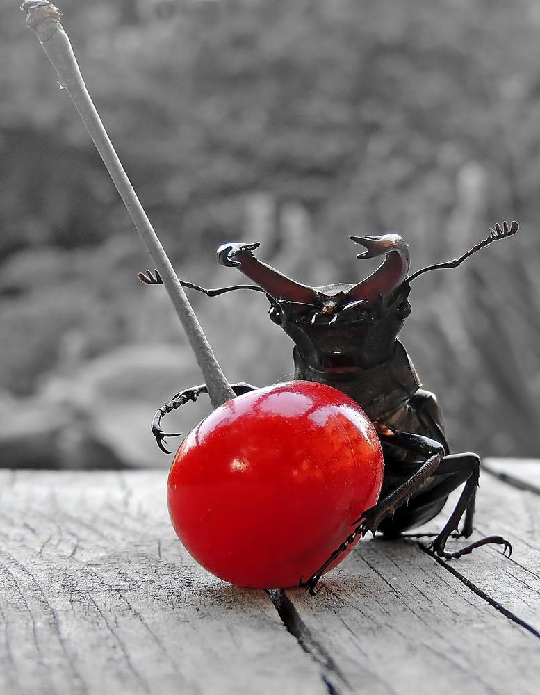 Photograph by Савоцкий Роман