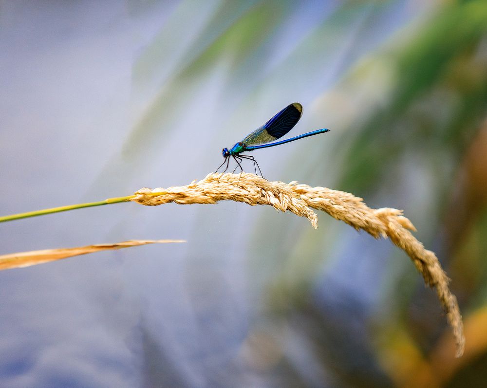 Photograph by Ольга Мазлова