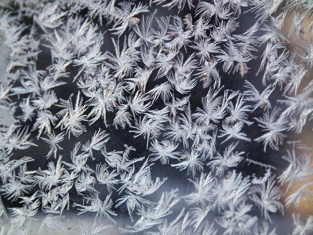 Photograph by Анна Ермилова