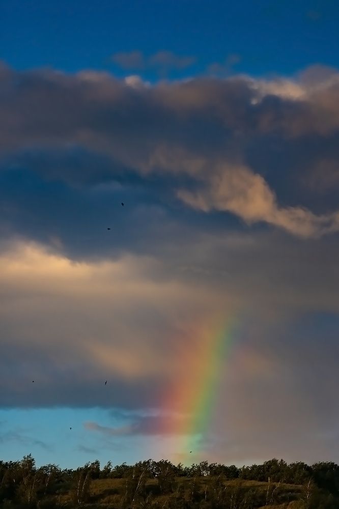 Photograph by Ольга Мазлова