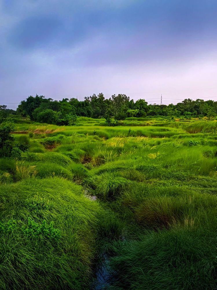 Фотография автора Ramprasad Das