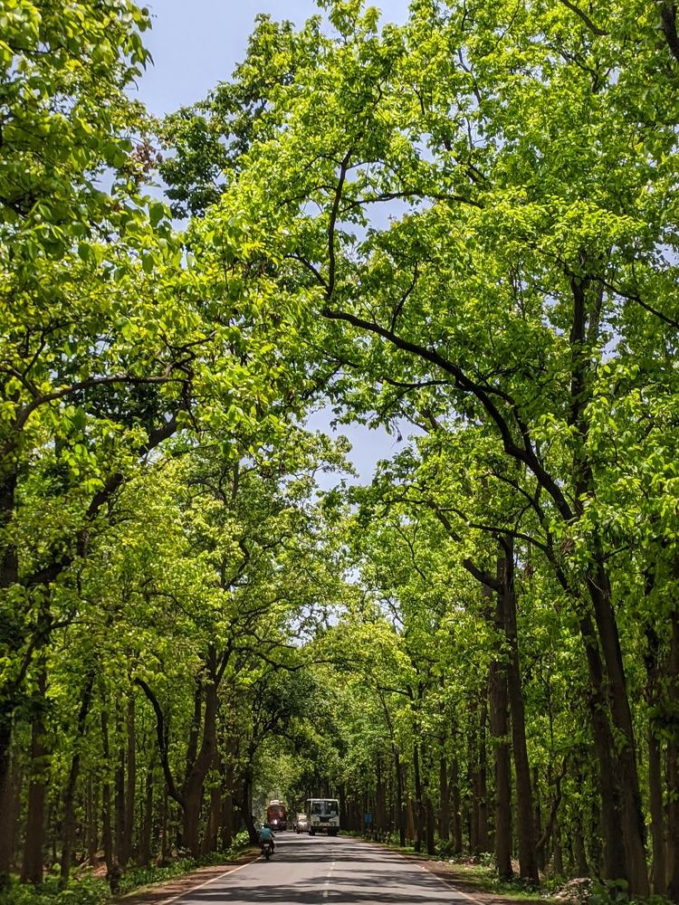 Фотография автора Ramprasad Das