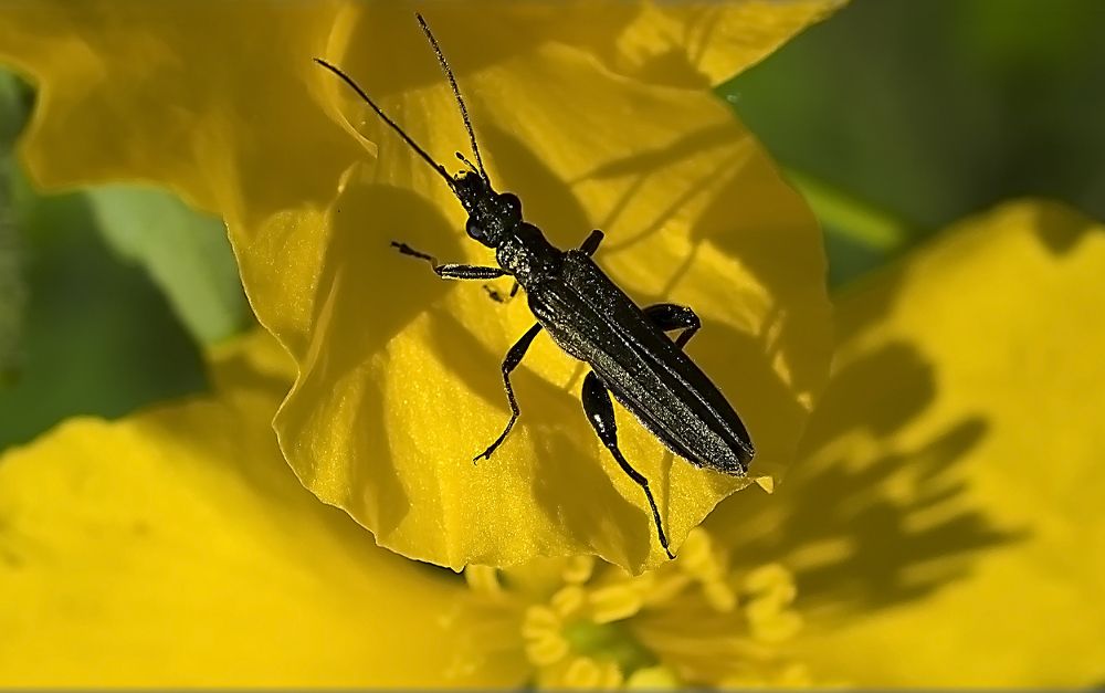 Остановился отдохнуть.