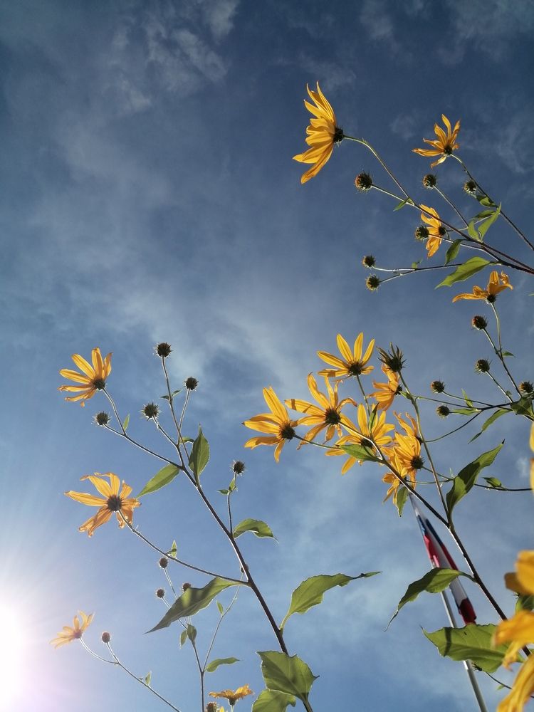 Photograph by Галина Смирнова