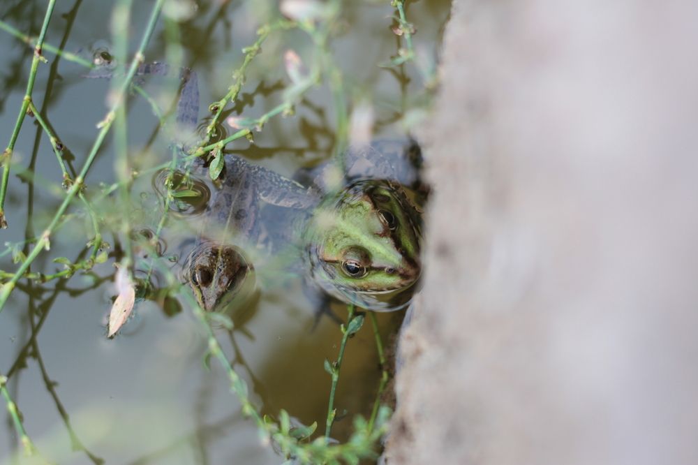 Photograph by Надежда Яковлева