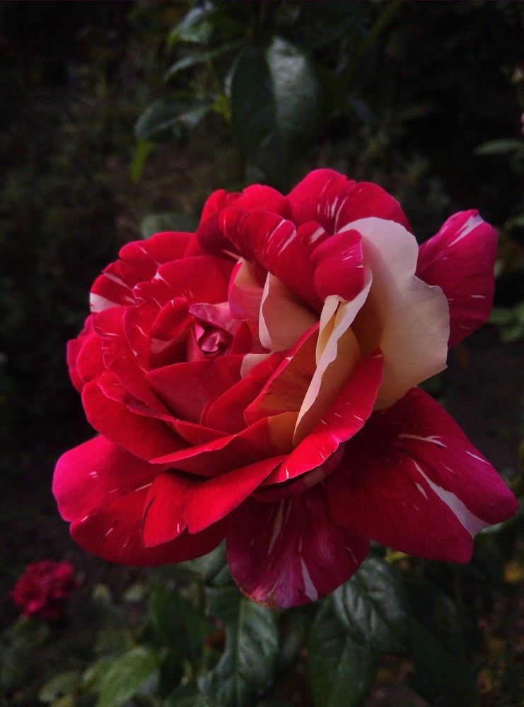 Фотография автора Анна