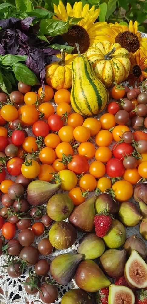 Фотография автора Ольга Мусина