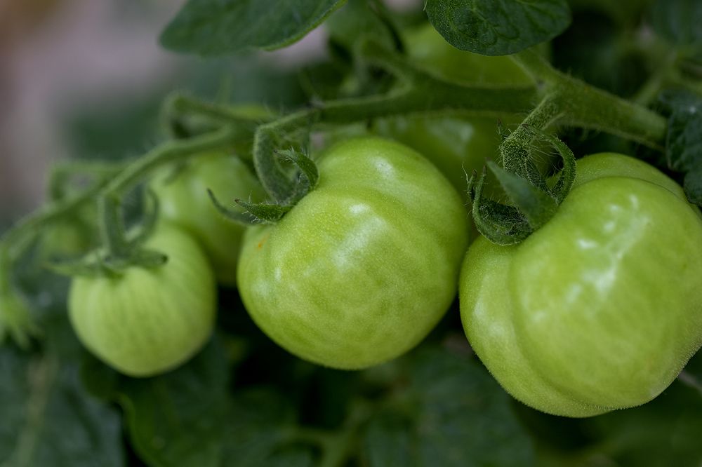 Photograph by Evgeniia Iakimenko