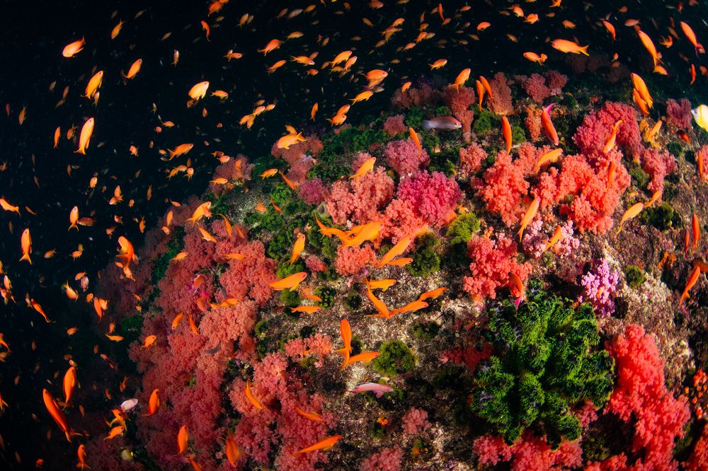 Photograph by HITOMI TSUCHIYA