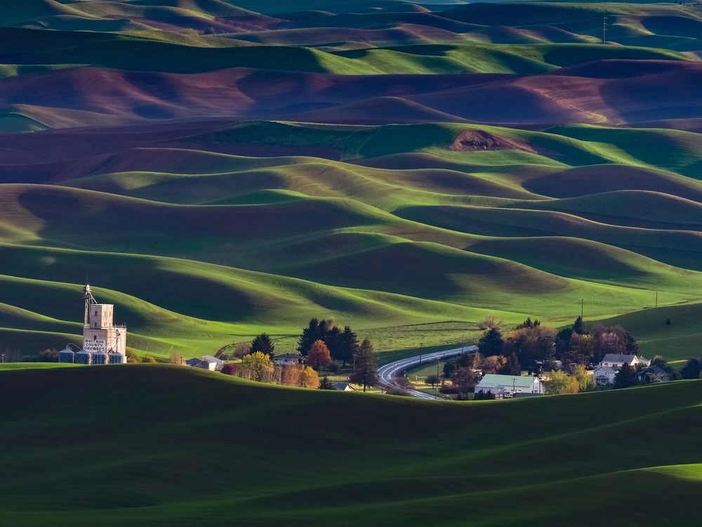 Photograph by Annette Taberner-Miller