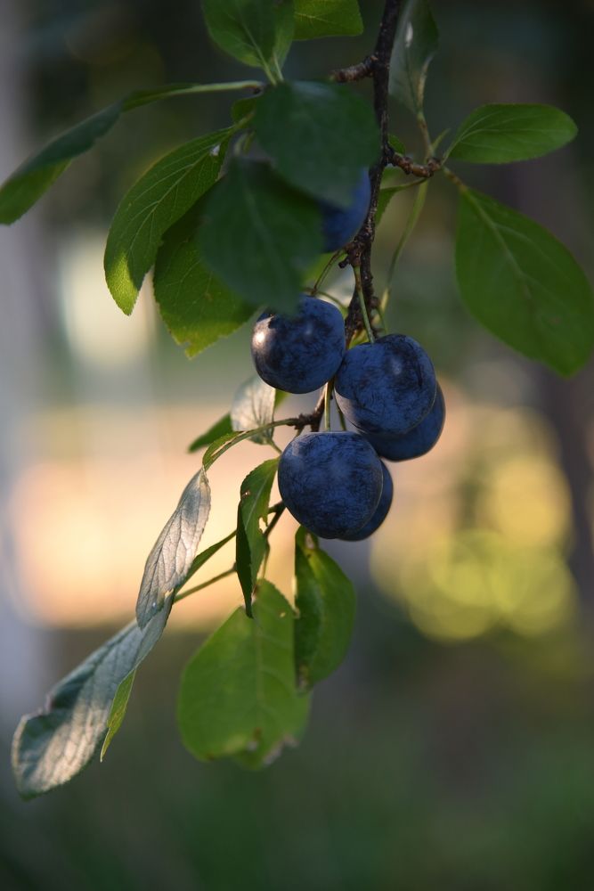 Photograph by Ольга Струкалина