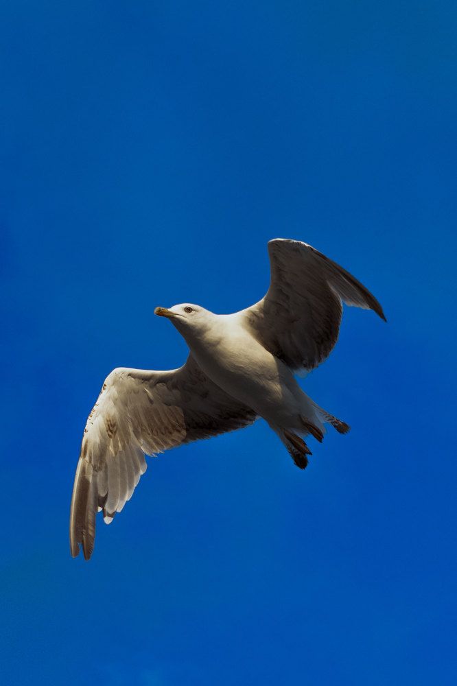 Photograph by Олеся Крылова