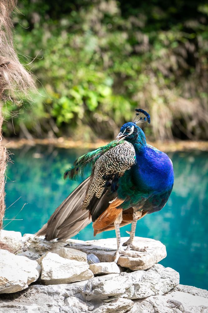 Photograph by Дмитрий Алабугин