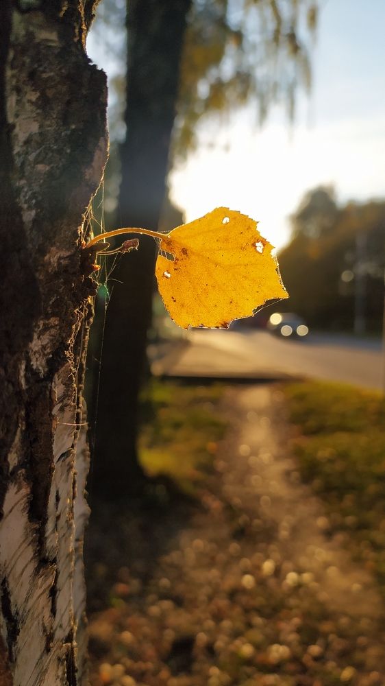 Photograph by Любовь Новикова