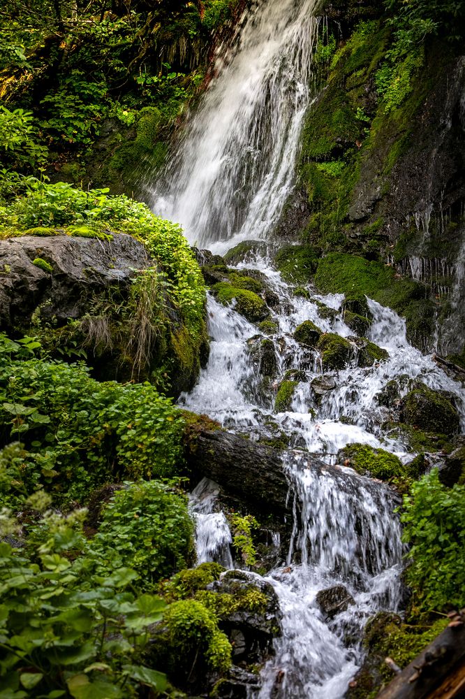 Photograph by Дмитрий Алабугин
