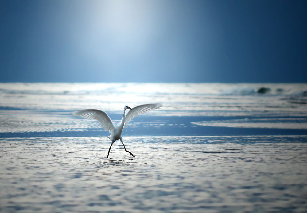 Photograph by danianian reza