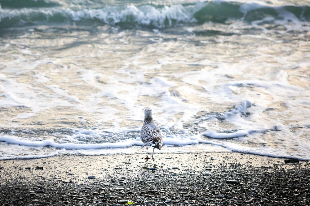 Photograph by Дмитрий Алабугин