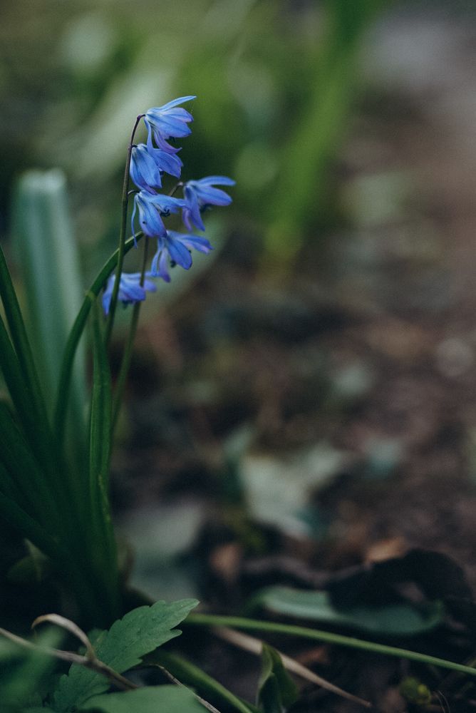 Photograph by Татьяна Стружкина