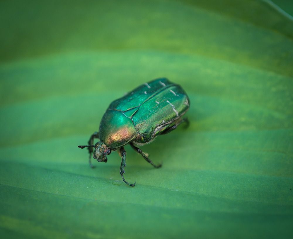 Photograph by Екатерина Вспышкина