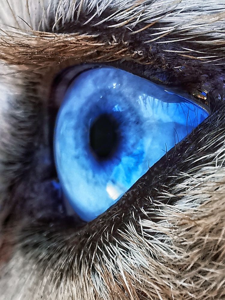 Photograph by Оксана Маракушина