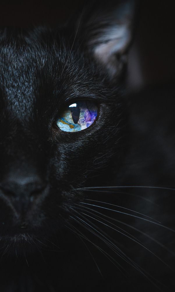 Photograph by Valeria Malinkina