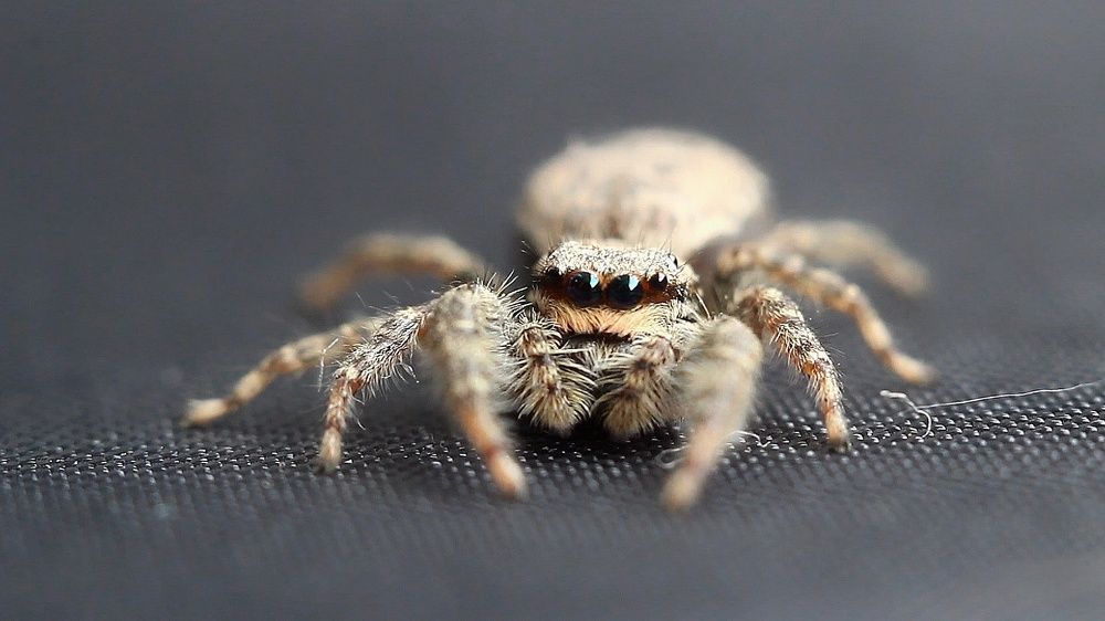 Photograph by Мария Мельникова