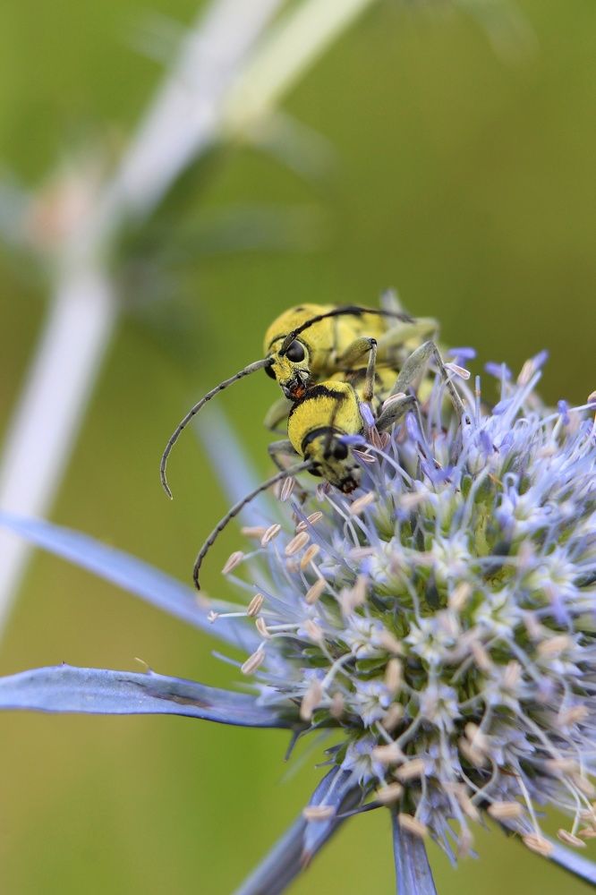 Photograph by Мария Мельникова