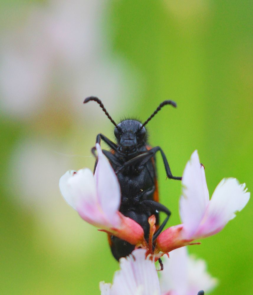 Photograph by Мария Мельникова
