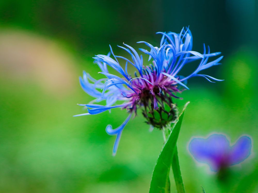 Photograph by Екатерина Слепнева