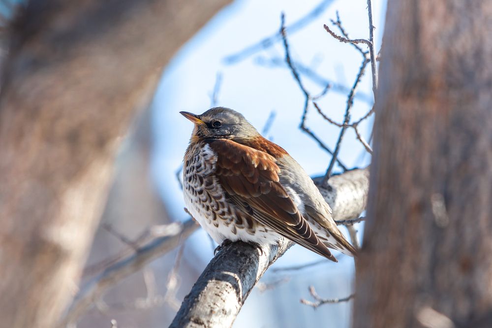 Photograph by Дмитрий Алабугин