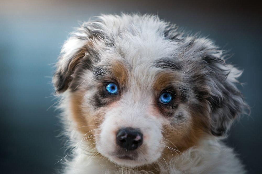 Photograph by Дмитрий Алабугин