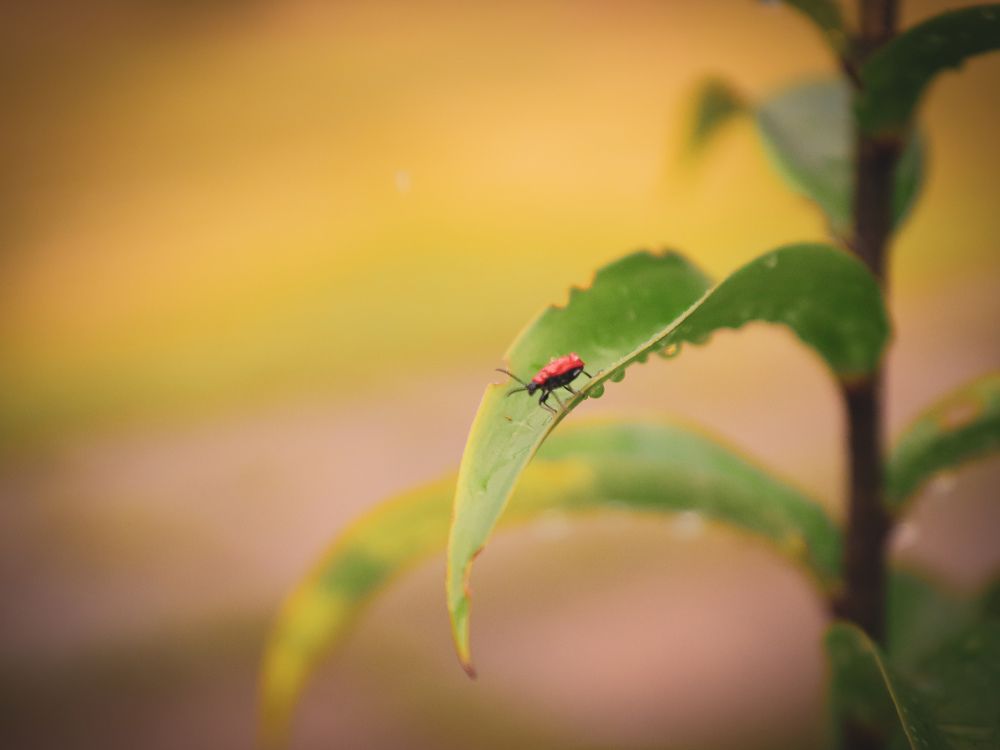 Photograph by Екатерина Слепнева