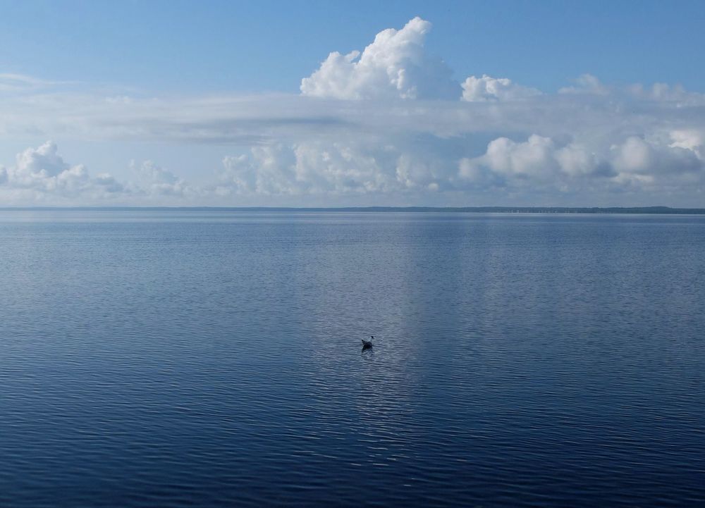 Photograph by Ираида Стародубцева