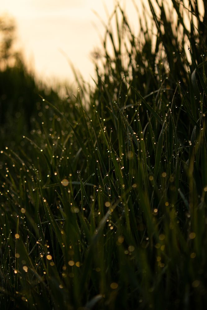 Photograph by Эмилия Молчанова