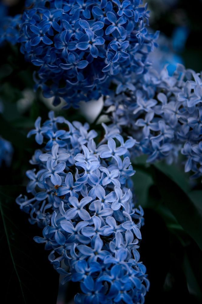 Photograph by Mikhail