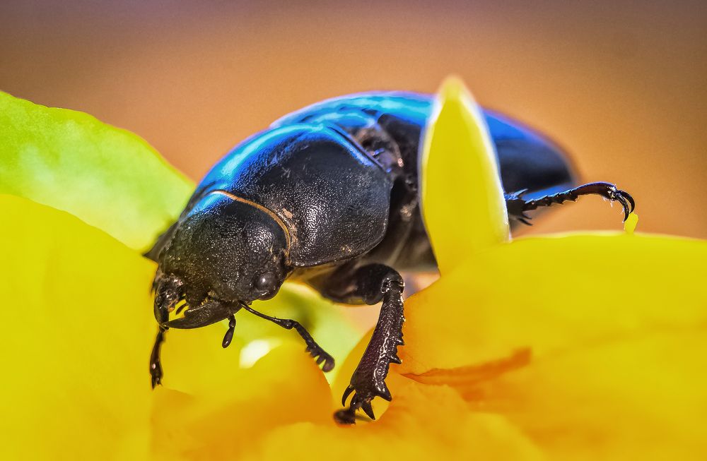Photograph by Sergey Kudryashov