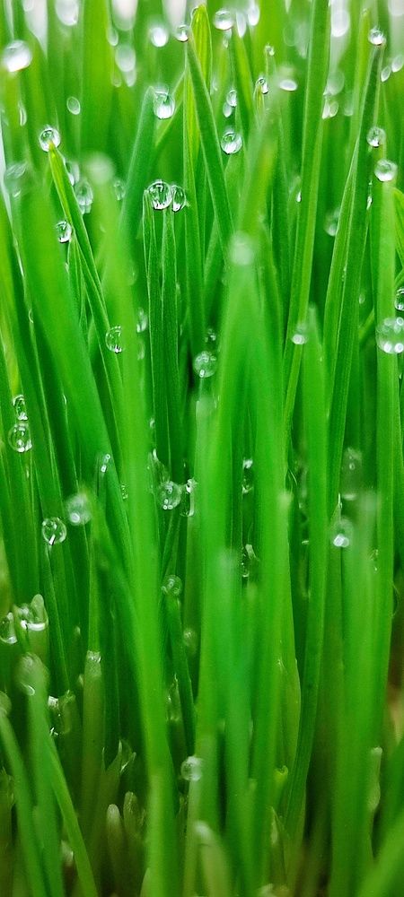 Photograph by Катерина Ермолаева