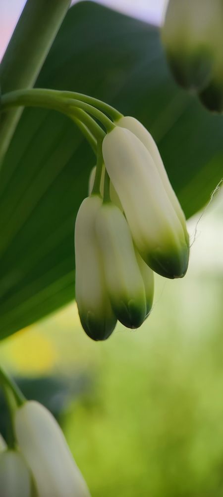 Photograph by Катерина Ермолаева