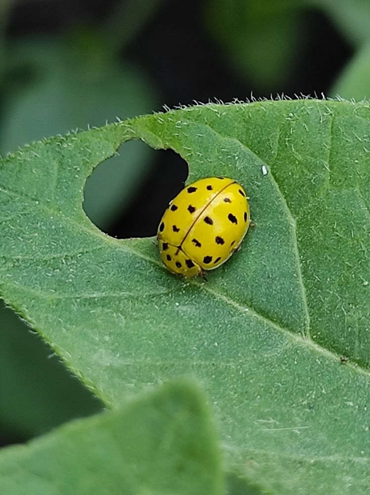 Photograph by Луиза Баширова