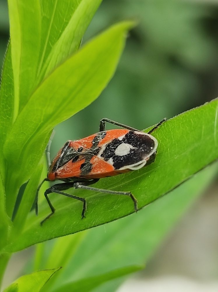 Photograph by Луиза Баширова