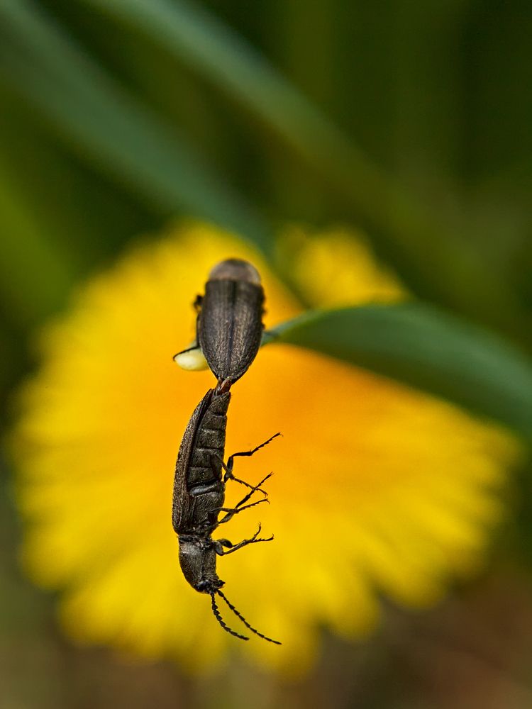 Photograph by Евгений Козлов