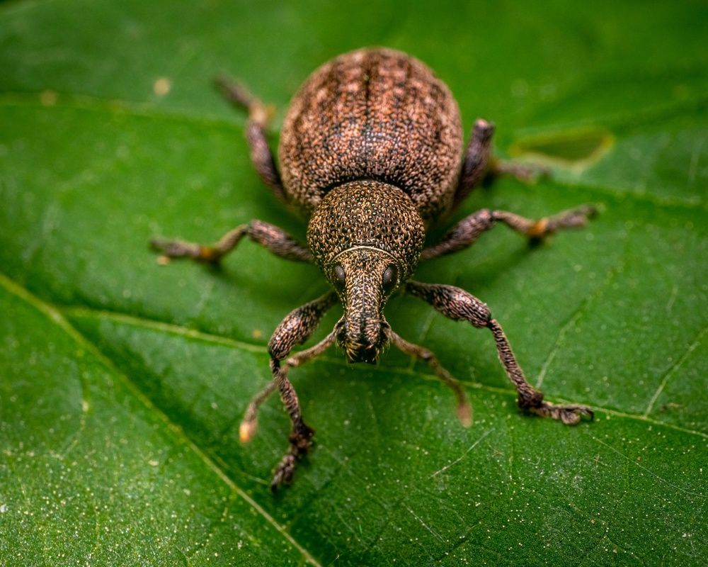 Фотография автора Андрей Баранов