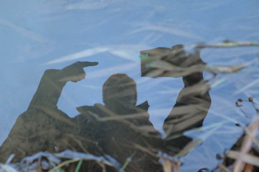 Photograph by Семен Батов