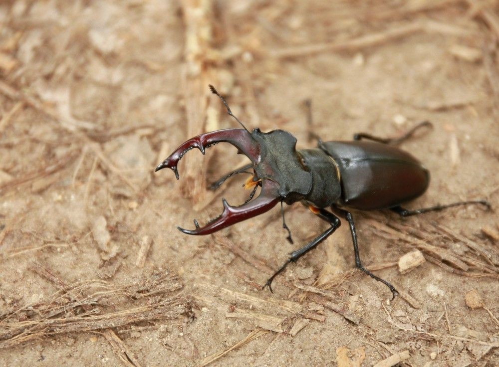 Photograph by Марина Юрченко