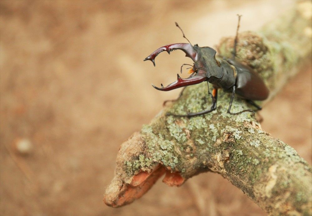 Photograph by Марина Юрченко