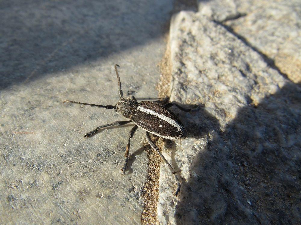 Photograph by Денис Веску