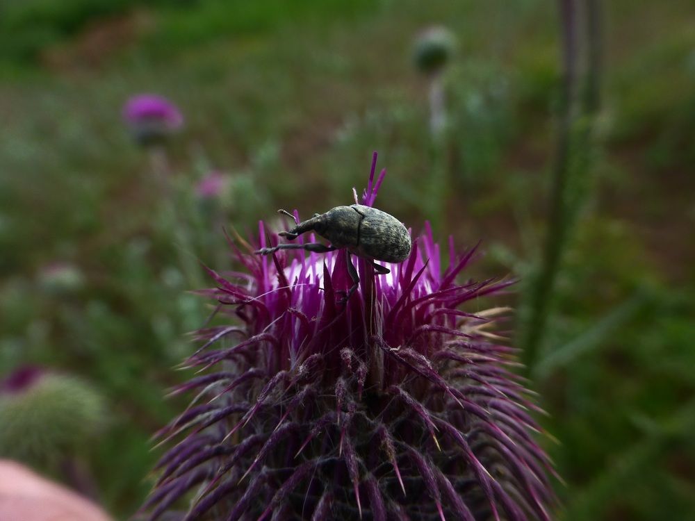 Photograph by Денис Веску